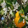 images/gallery/crete/crete14.jpg