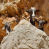 images/gallery/crete/crete15.jpg